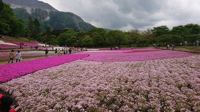 20190506133827_p.jpg
